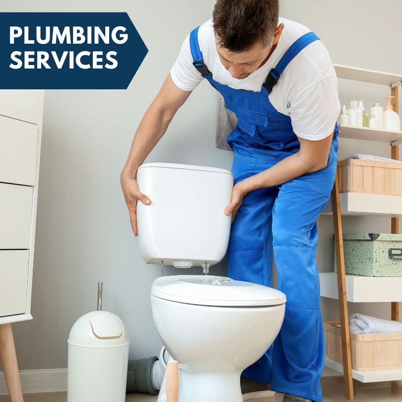 Plumbing Company in Parma, MI